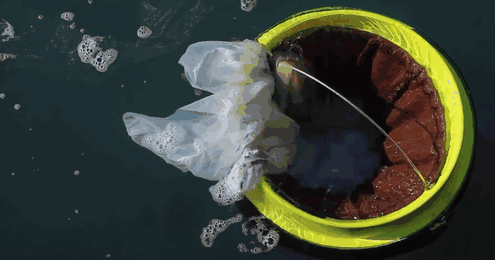 Okyanus İçin Küçük İnsanlık İçin Büyük Bir Çöp Kutusu: Seabin