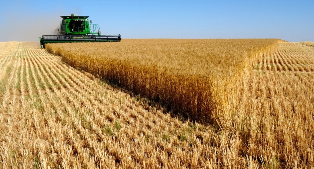 Tarım Sektöründe Gelir Analizi