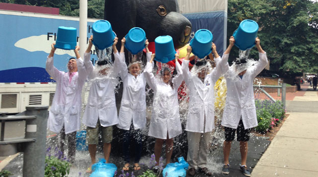“Ice Bucket Challenge” Kampanyası Sayesinde ALS Hastalığında Yeni Bir Gen Bulundu