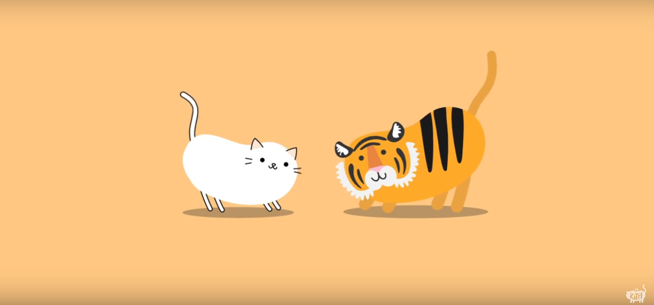 Kedi Videosu İzleyerek Kaplanların Hayatını Kurtarın