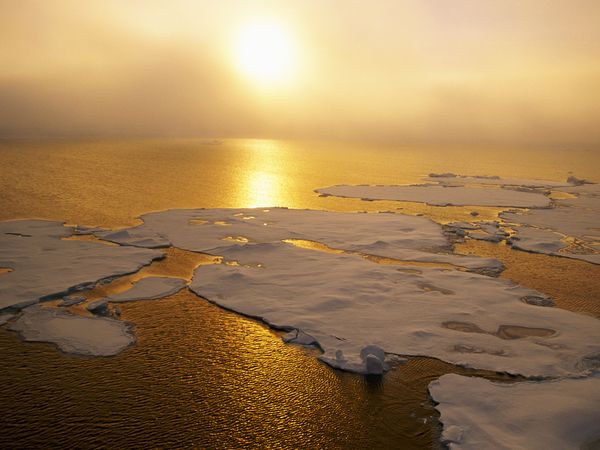 Dünya Buzulları Tarih İçerisinde Nasıl Eridi?