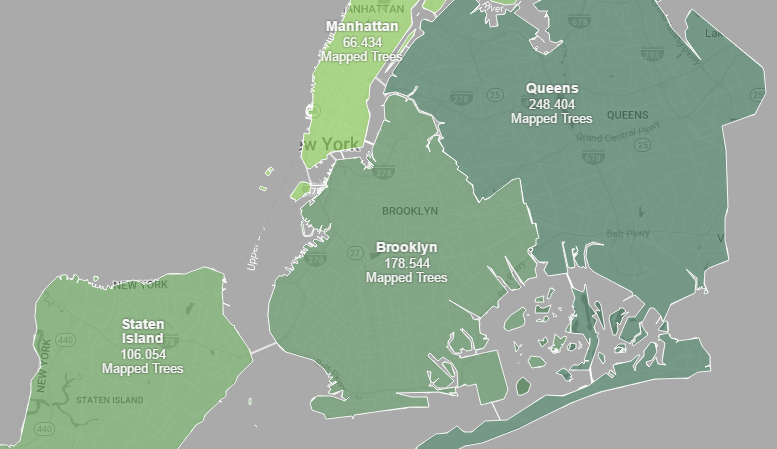 New York Şehrinin Ağaç Haritası Çıkarıldı