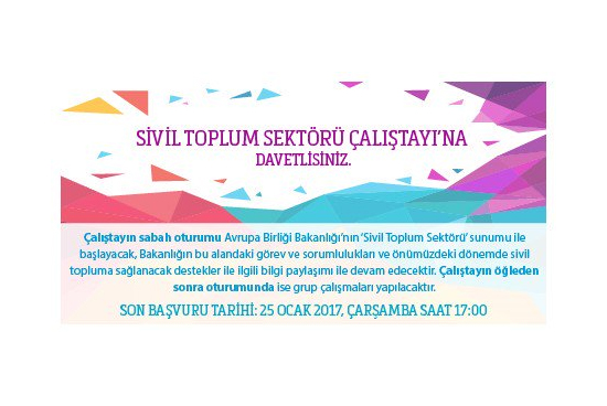 Sivil Toplum Sektörü Çalıştayı Ankara’da Düzenlenecek
