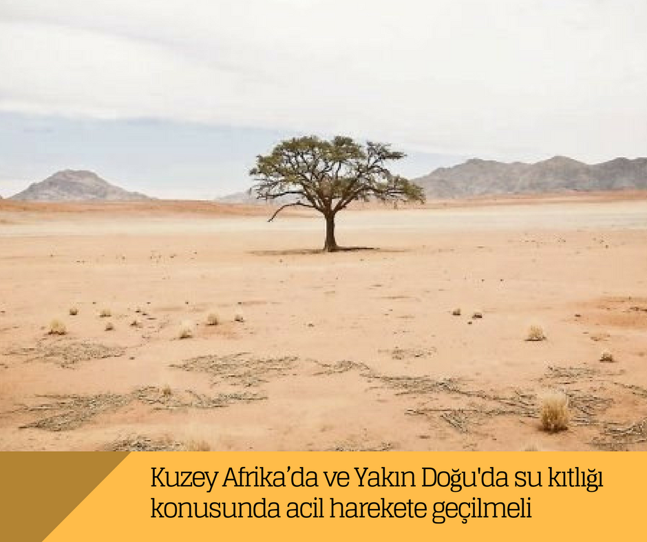Kuzey Afrika ve Yakın Doğu’da su kıtlığı için eylem planı