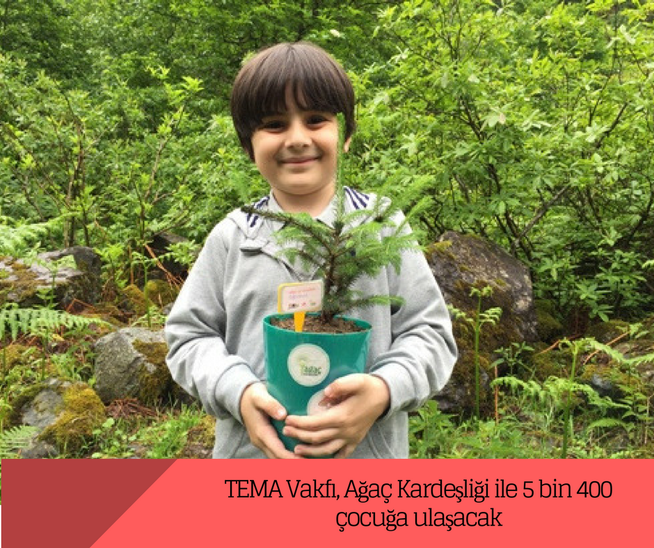 TEMA Vakfı, Ağaç Kardeşliği ile 5 bin 400 çocuğa ulaşacak