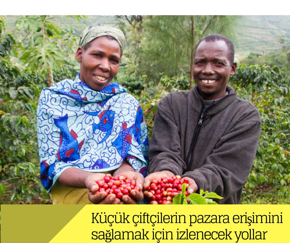 Küçük çiftçilerin pazara erişimini sağlamak için izlenecek yollar