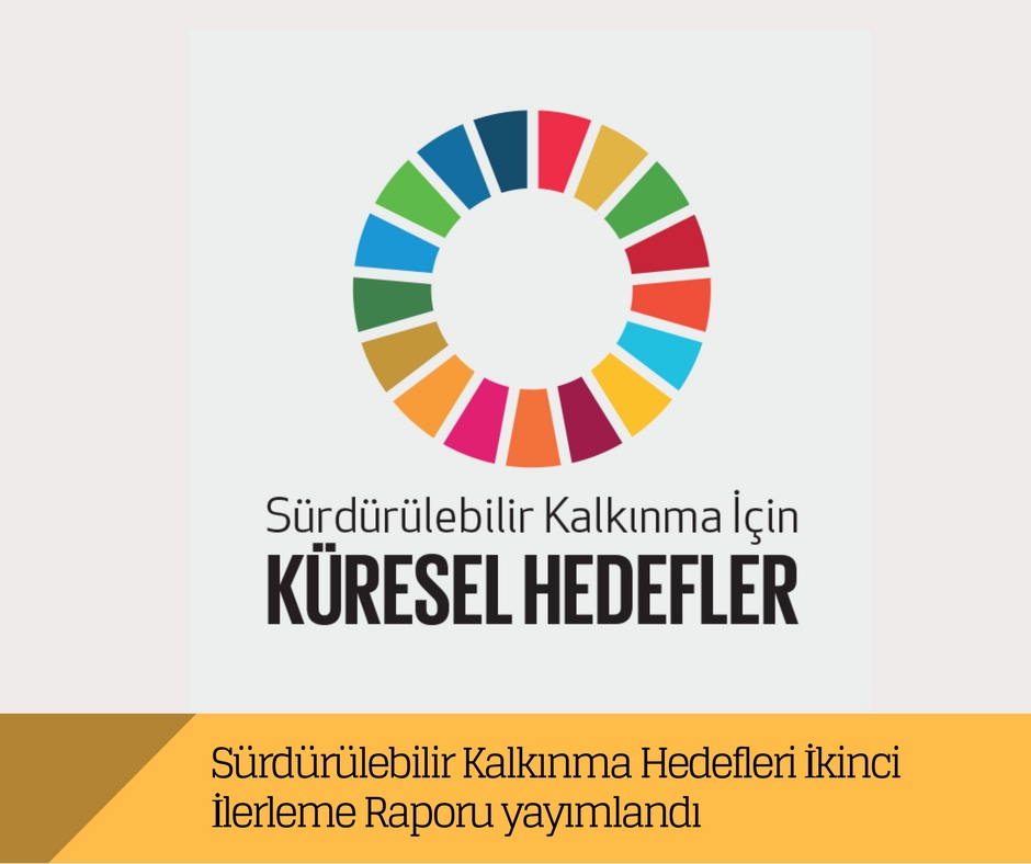 Sürdürülebilir Kalkınma Hedefleri (SDG) İkinci İlerleme Raporu yayımlandı