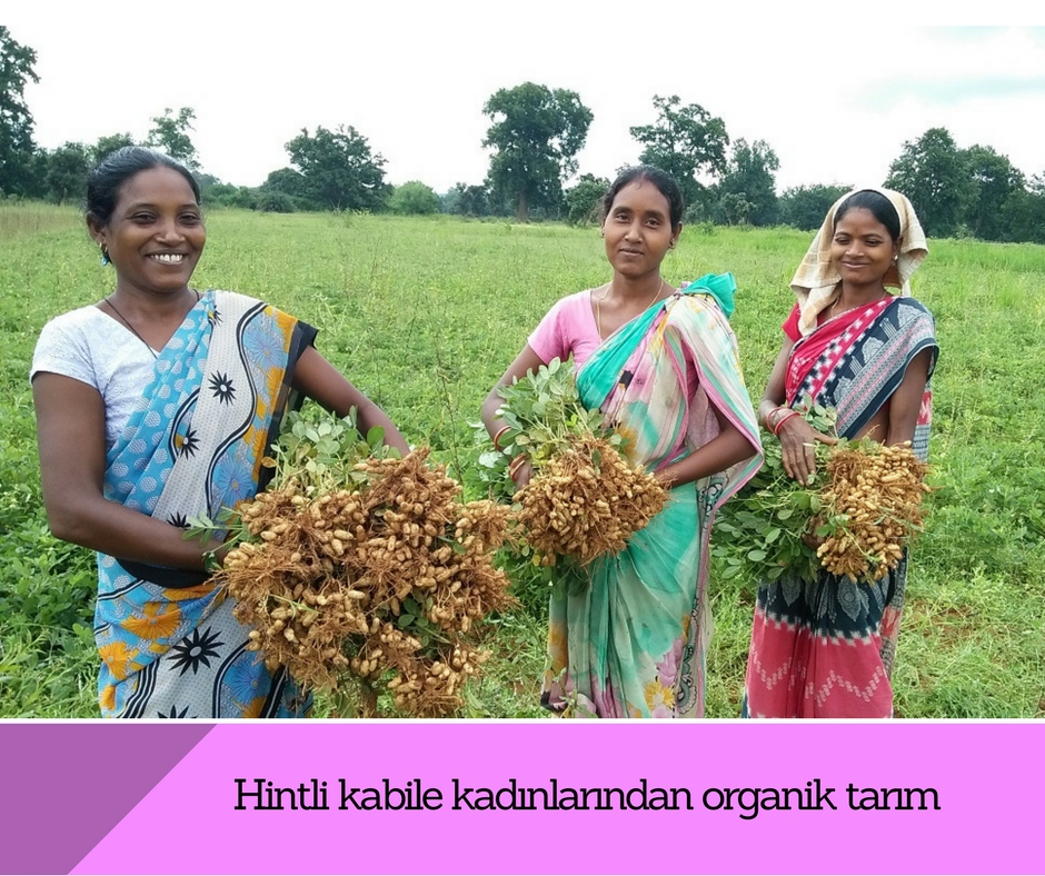 Hintli kadınlar, konvensiyonel tarıma karşı savaşıyor