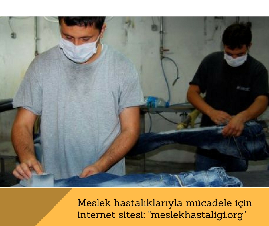 Meslek hastalıklarıyla mücadele için internet sitesi: “meslekhastaligi.org”