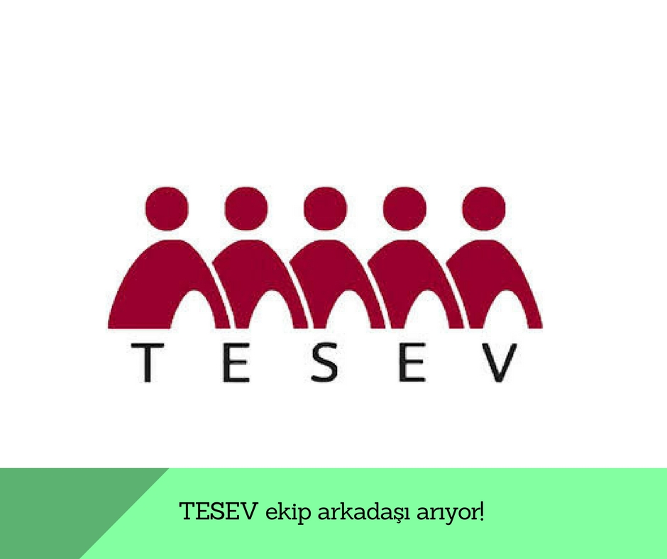 TESEV ekip arkadaşı arıyor!