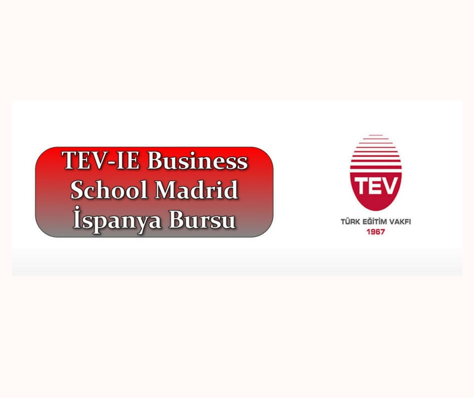 TEV-IE Business School İspanya Bursları Başvurusu Başladı