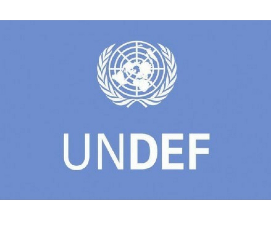UNDEF (Birleşmiş Milletler Demokrasi Fonu) Teklif Çağrısı Yayımlandı