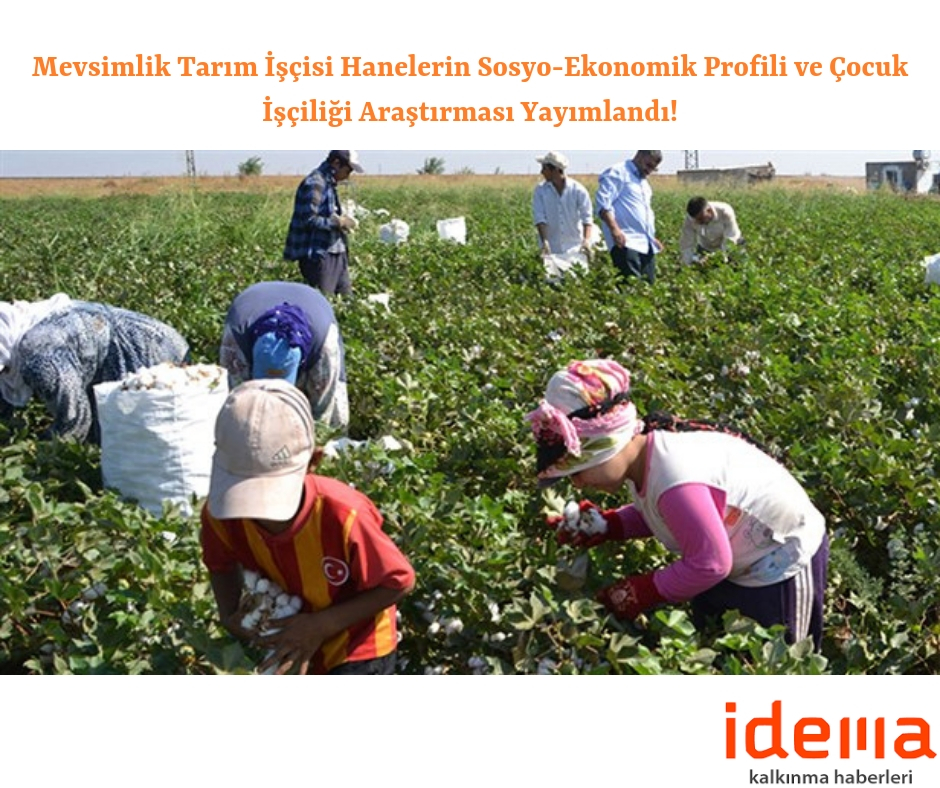 Mevsimlik Tarım İşçisi Hanelerin Sosyo-Ekonomik Profili ve Çocuk İşçiliği Araştırması Yayımlandı!