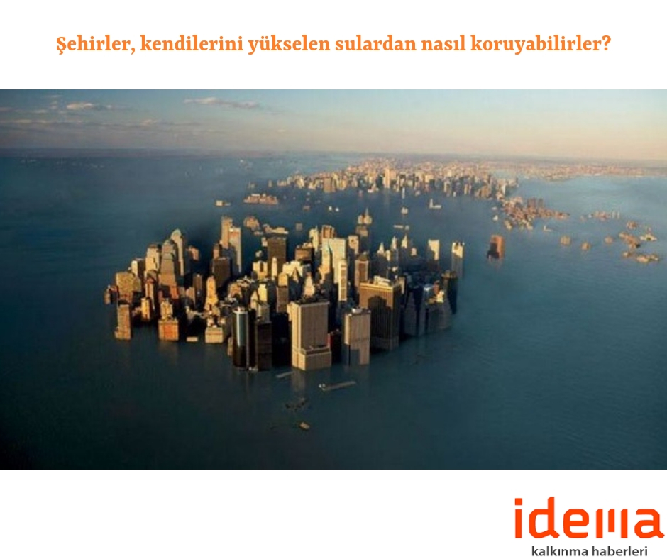 Şehirler, kendilerini yükselen sulardan nasıl koruyabilirler?