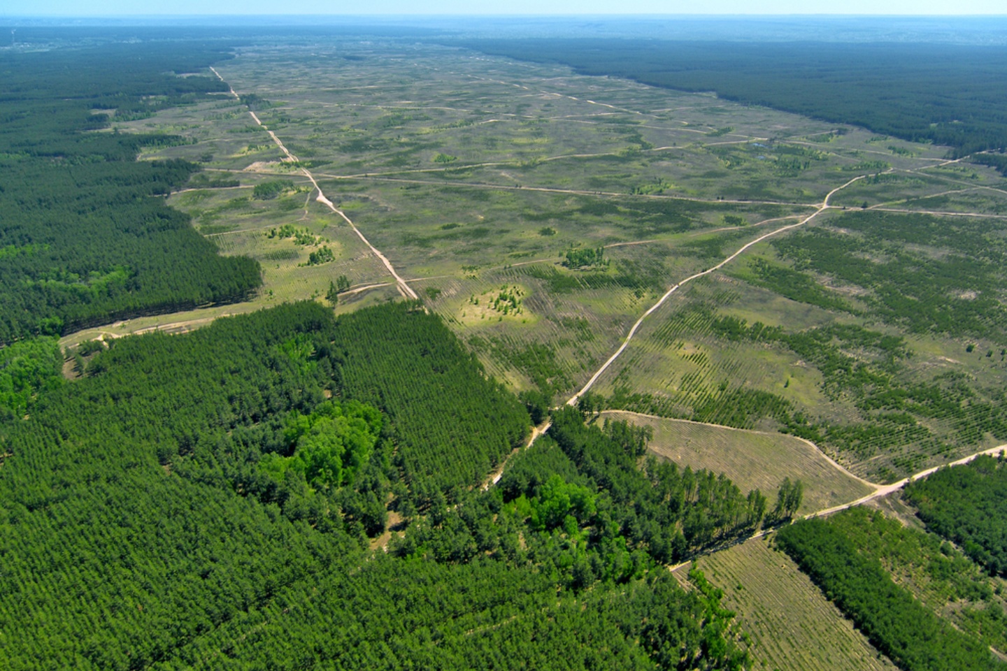 Avrupa Birliği, orman tahribi ile mücadele ediyor!