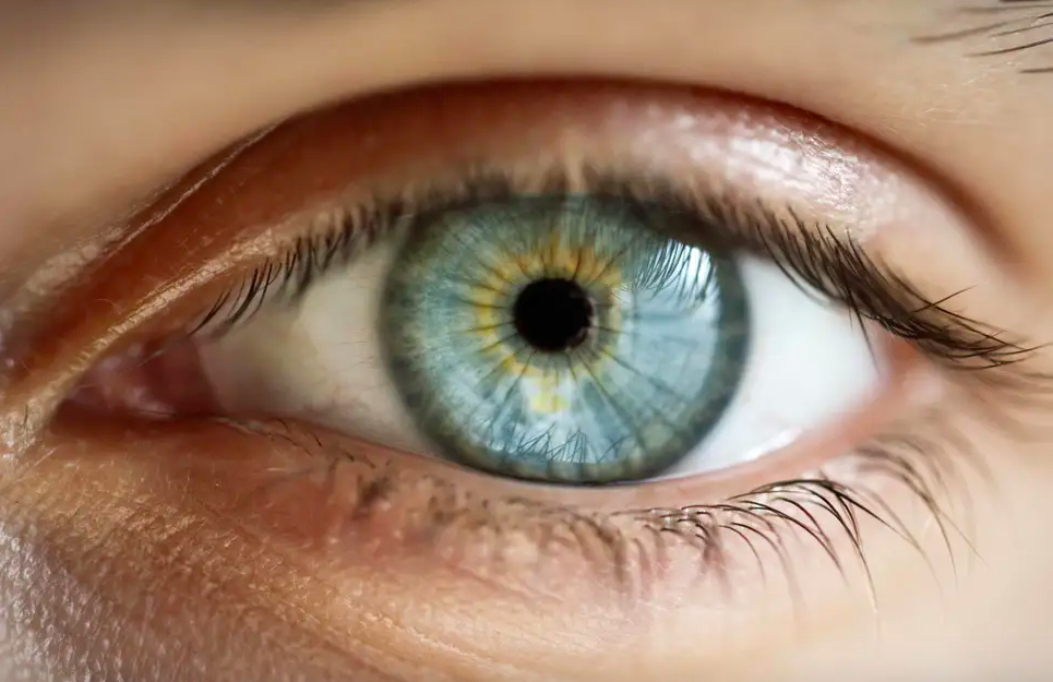 Robotik kontak lensler, kullanıcılarına göz kırparak  yakınlaştırma özelliği sunacak!