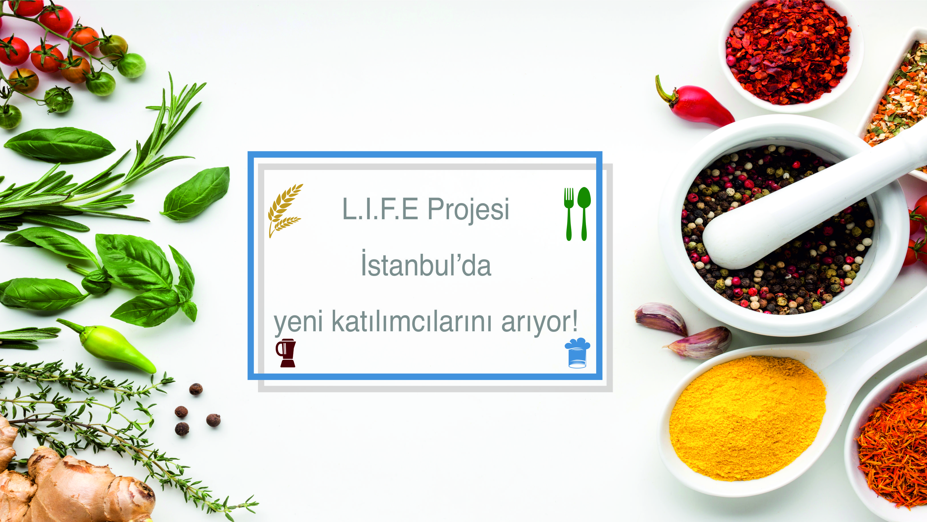 L.I.F.E (Gıda Girişimciliği ile Yenilikçi Geçim Kaynakları) Projesi, İstanbul’da yeni dönem katılımcılarını arıyor!