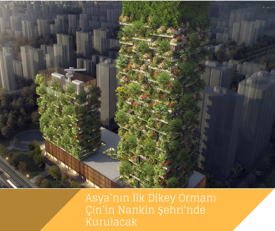 Asya’nın İlk Dikey Ormanı Çin’in Nankin Şehri’nde Kurulacak