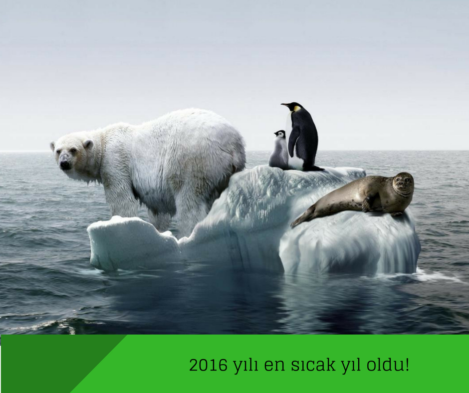 2016 en sıcak yıl oldu!