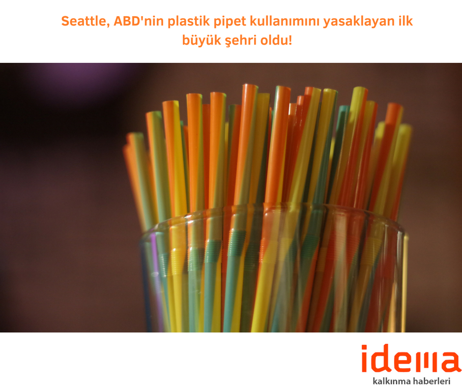 Seattle, ABD’nin plastik pipet kullanımını yasaklayan ilk büyük şehri oldu!
