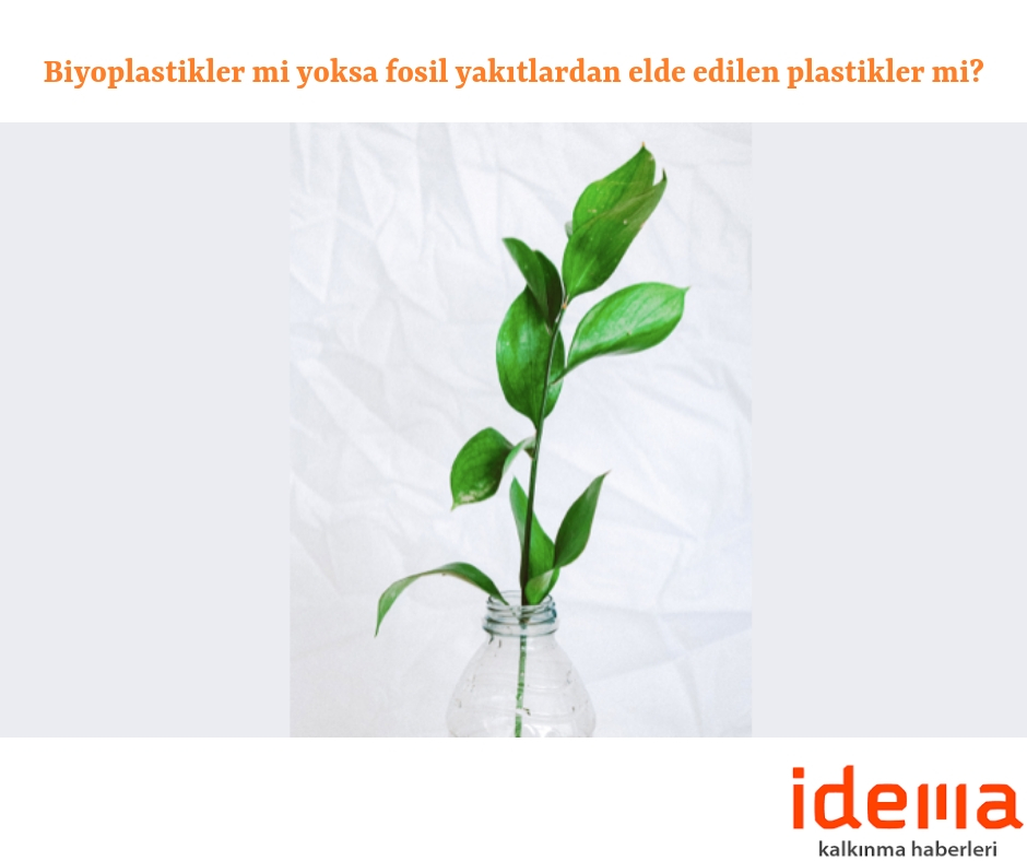 Biyoplastikler mi yoksa fosil yakıtlardan elde edilen plastikler mi?
