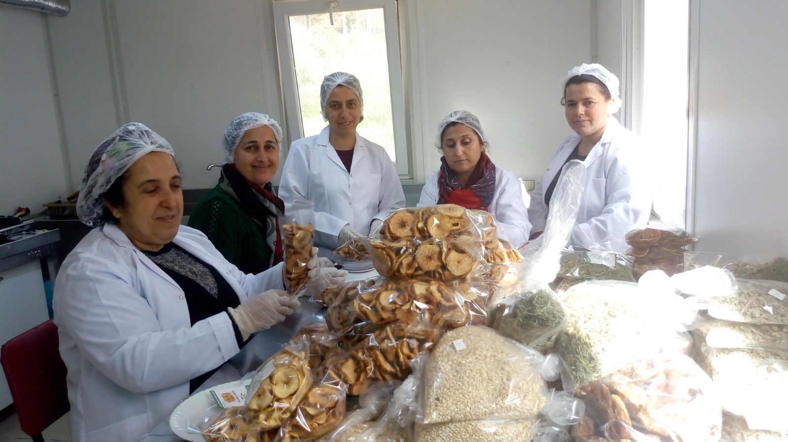 Hataylı Kadın Girişimci ve Kadın Kooperatifleri İstanbul’da buluşuyor